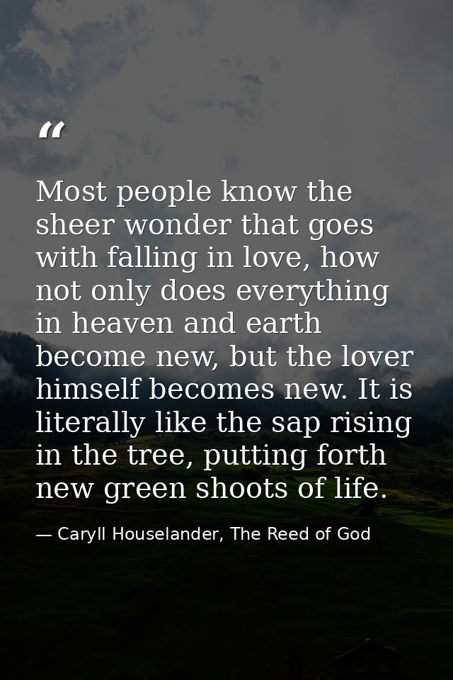 Most people know the sheer wonder that goes with falling in love, how not only does everything in heaven and earth becom — Caryll Houselander, The Reed of God