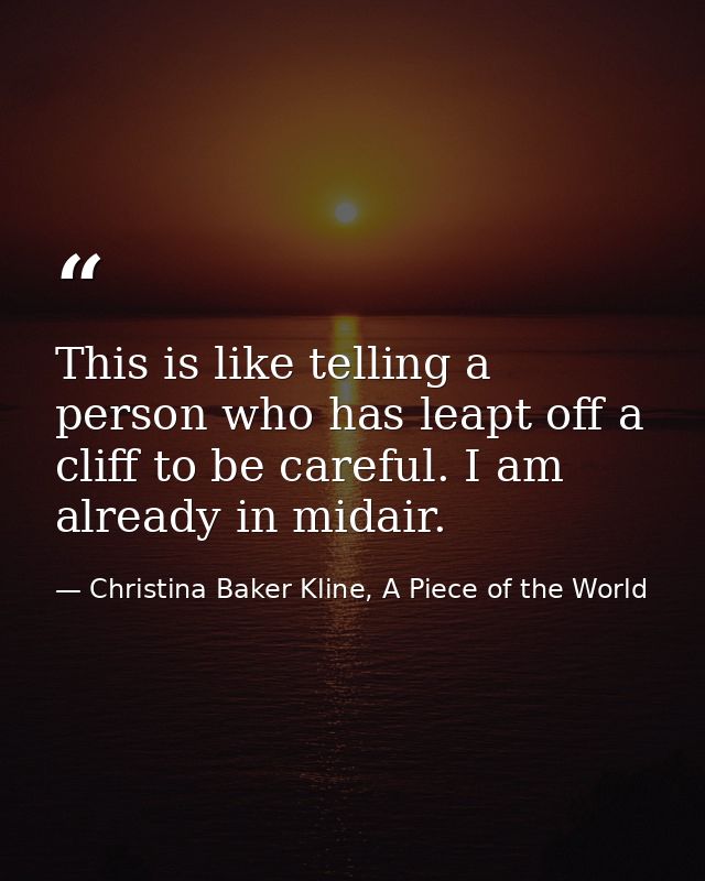 This is like telling a person who has leapt off a cliff to be careful. I am already in midair. — Christina Baker Kline, A Piece of the World