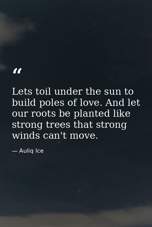Lets toil under the sun to build poles of love. And let our roots be planted like strong trees that strong winds can't m — Auliq Ice