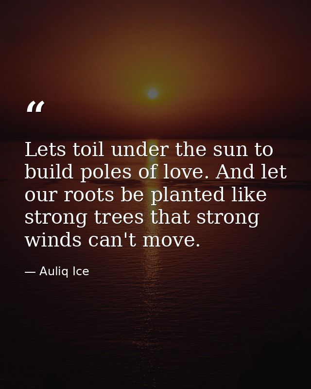 Lets toil under the sun to build poles of love. And let our roots be planted like strong trees that strong winds can't m — Auliq Ice