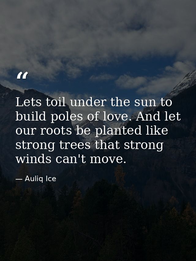 Lets toil under the sun to build poles of love. And let our roots be planted like strong trees that strong winds can't m — Auliq Ice
