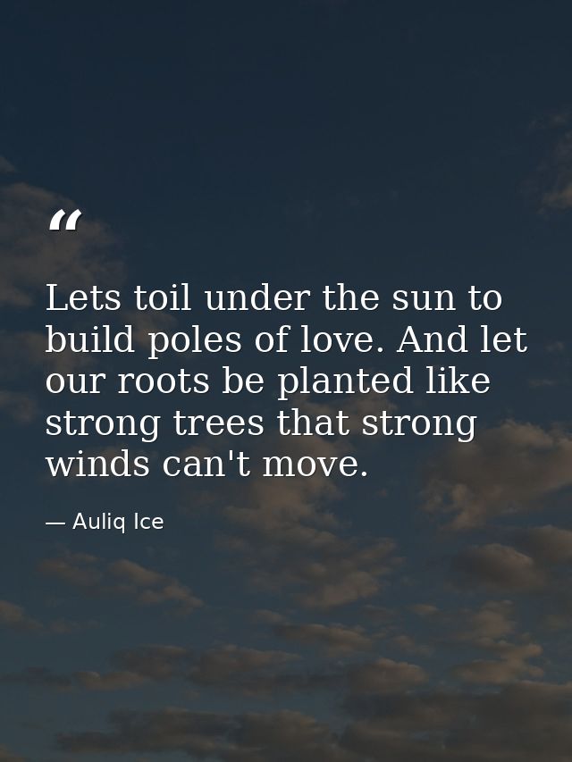 Lets toil under the sun to build poles of love. And let our roots be planted like strong trees that strong winds can't m — Auliq Ice