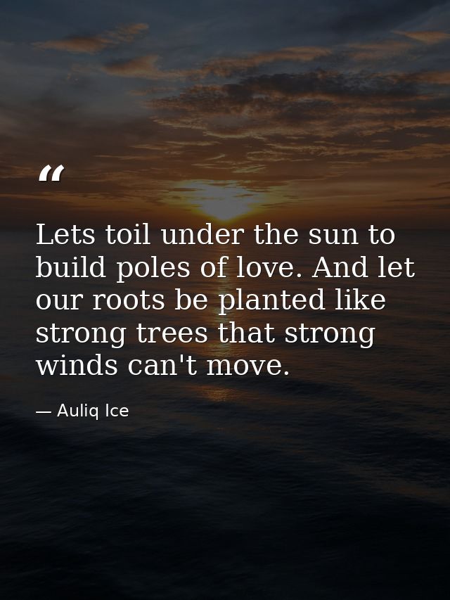 Lets toil under the sun to build poles of love. And let our roots be planted like strong trees that strong winds can't m — Auliq Ice