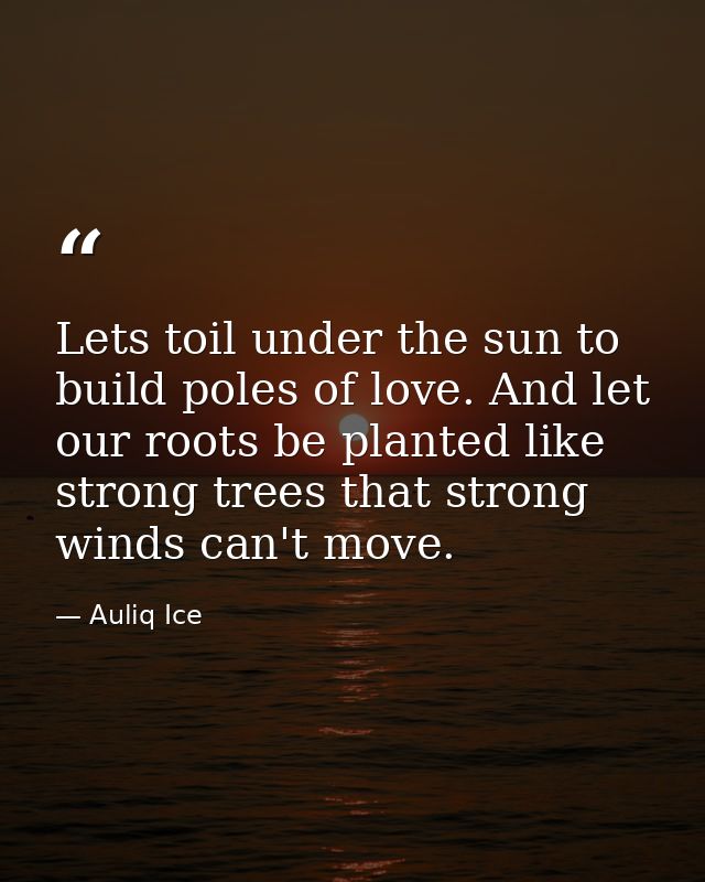 Lets toil under the sun to build poles of love. And let our roots be planted like strong trees that strong winds can't m — Auliq Ice