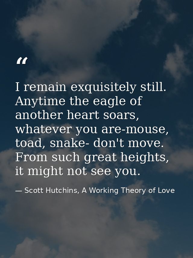 I remain exquisitely still. Anytime the eagle of another heart soars, whatever you are-mouse, toad, snake- don't move. F — Scott Hutchins, A Working Theory of Love