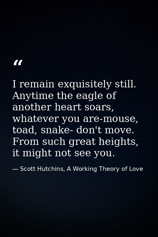 I remain exquisitely still. Anytime the eagle of another heart soars, whatever you are-mouse, toad, snake- don't move. F — Scott Hutchins, A Working Theory of Love