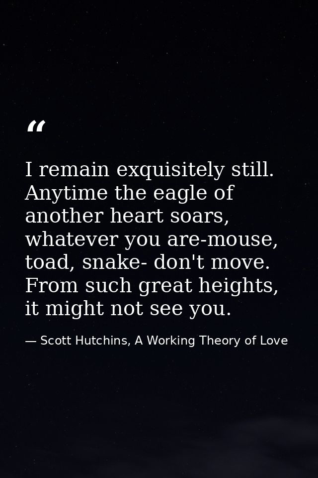 I remain exquisitely still. Anytime the eagle of another heart soars, whatever you are-mouse, toad, snake- don't move. F — Scott Hutchins, A Working Theory of Love