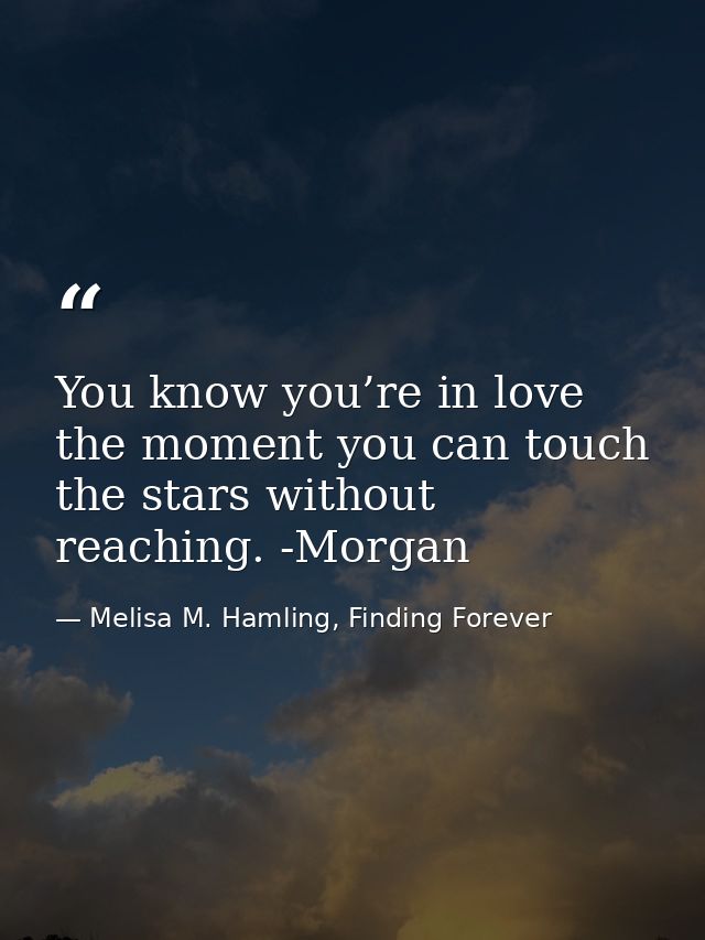 You know you’re in love the moment you can touch the stars without reaching. -Morgan — Melisa M. Hamling, Finding Forever