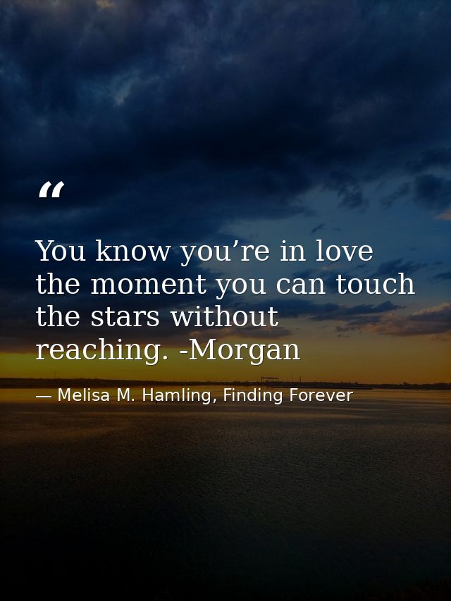You know you’re in love the moment you can touch the stars without reaching. -Morgan — Melisa M. Hamling, Finding Forever