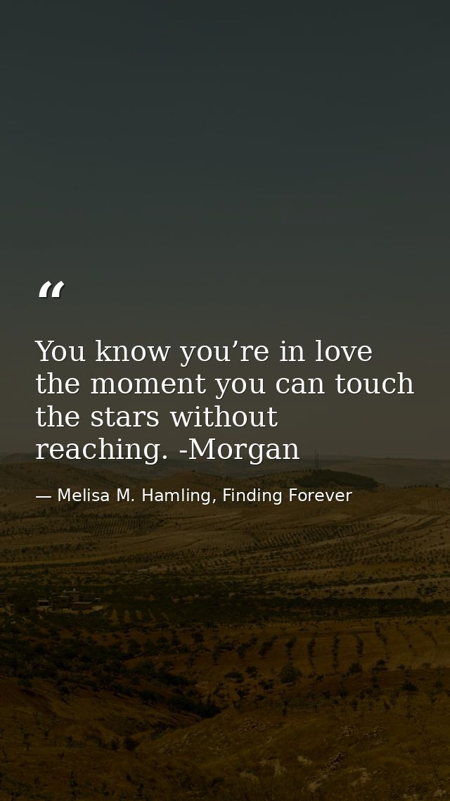 You know you’re in love the moment you can touch the stars without reaching. -Morgan — Melisa M. Hamling, Finding Forever
