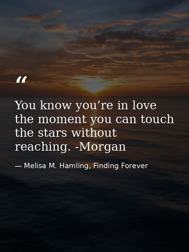 You know you’re in love the moment you can touch the stars without reaching. -Morgan — Melisa M. Hamling, Finding Forever