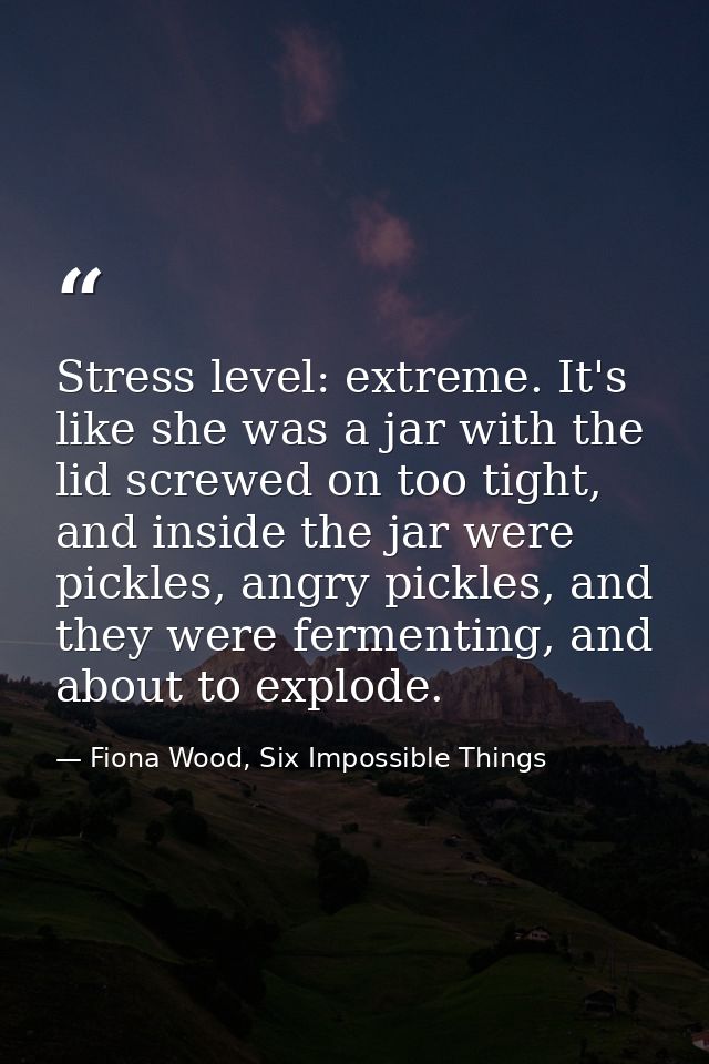 Stress level: extreme. It's like she was a jar with the lid screwed on too tight, and inside the jar were pickles, angry — Fiona Wood, Six Impossible Things