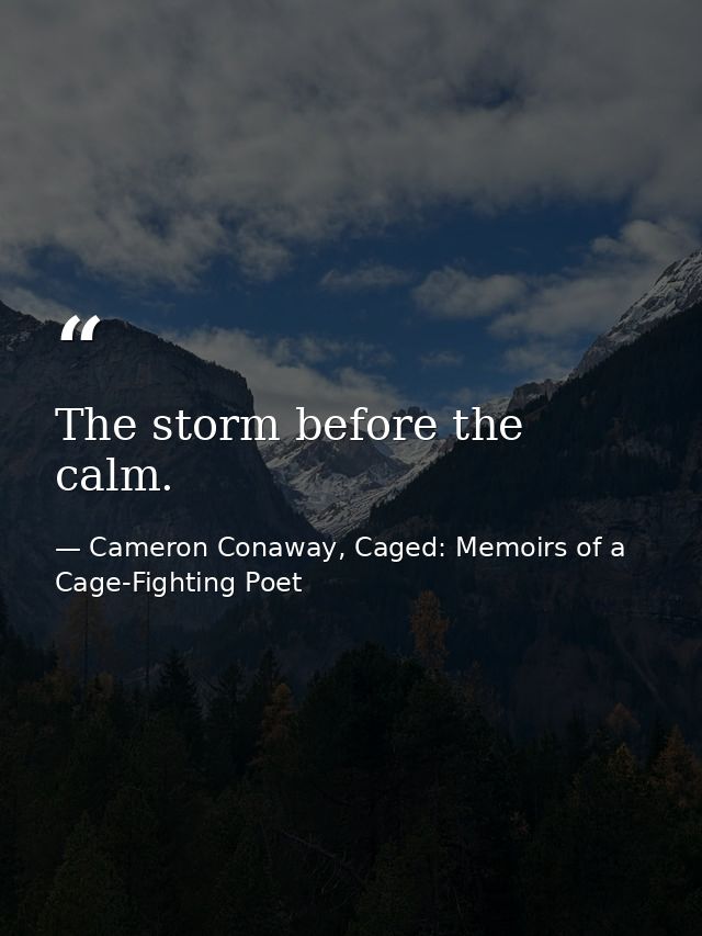 The storm before the calm. — Cameron Conaway, Caged: Memoirs of a Cage-Fighting Poet