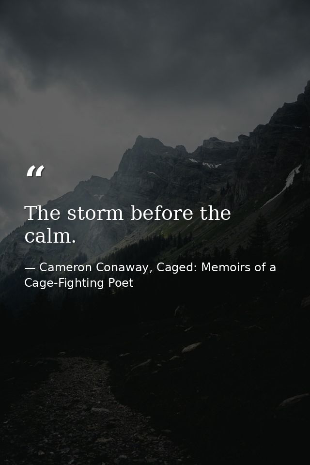 The storm before the calm. — Cameron Conaway, Caged: Memoirs of a Cage-Fighting Poet