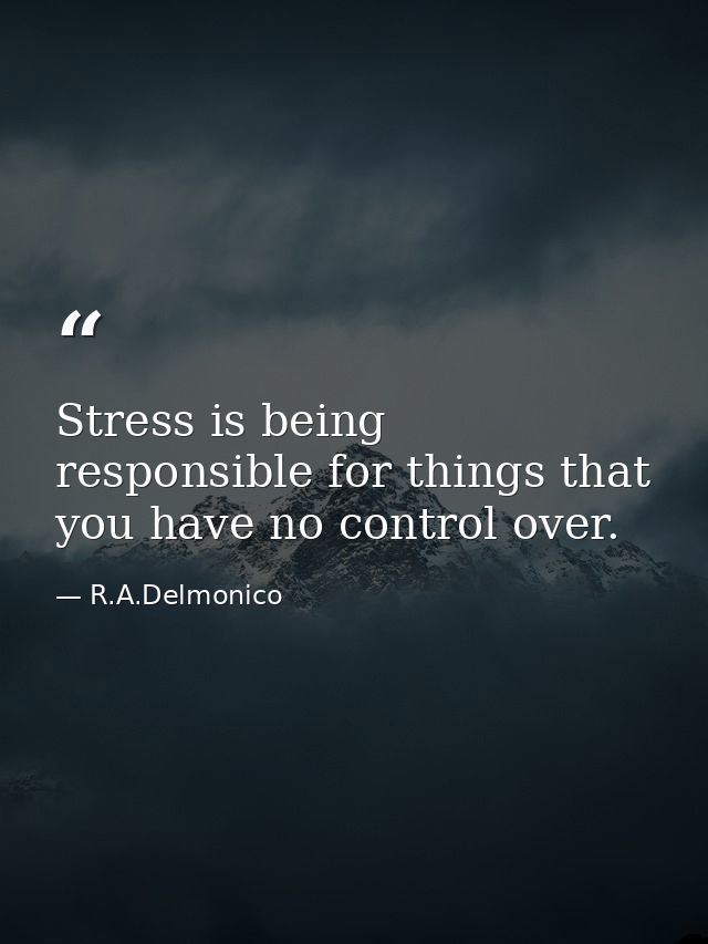 Stress is being responsible for things that you have no control over. — R.A.Delmonico