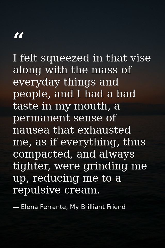 I felt squeezed in that vise along with the mass of everyday things and people, and I had a bad taste in my mouth, a per — Elena Ferrante, My Brilliant Friend