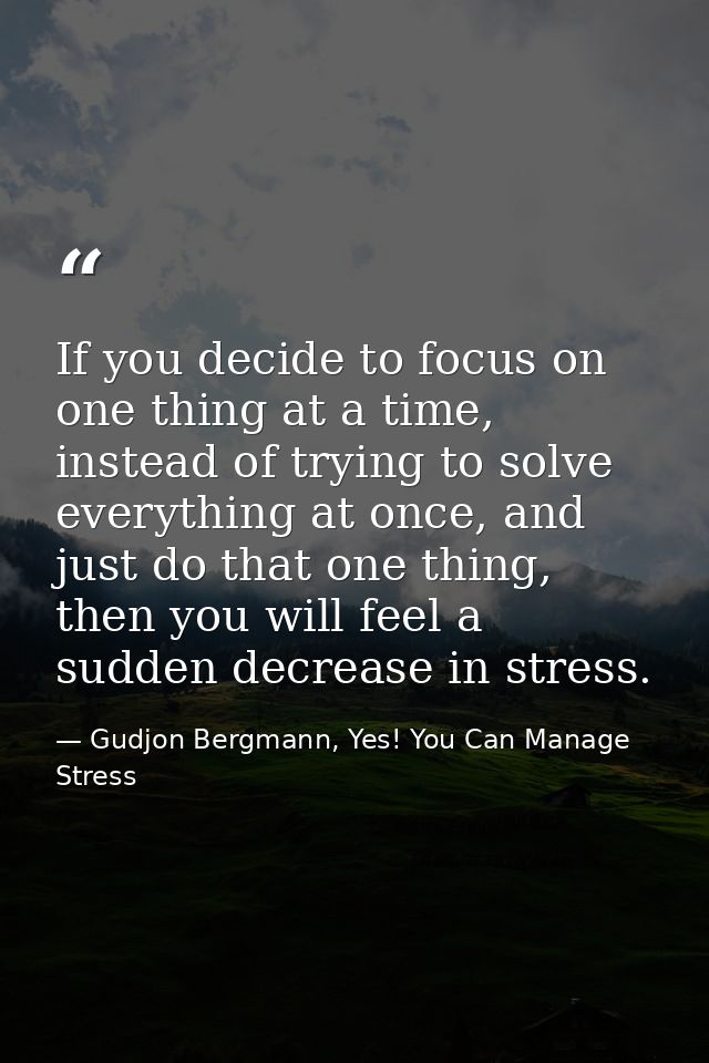 If you decide to focus on one thing at a time, instead of trying to solve everything at once, and just do that one thing — Gudjon Bergmann, Yes! You Can Manage Stress