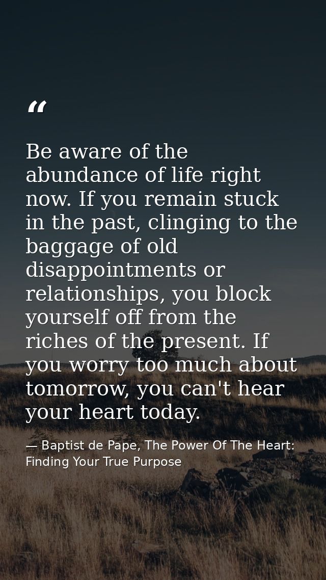Be aware of the abundance of life right now. If you remain stuck in the past, clinging to the baggage of old disappointm — Baptist de Pape, The Power Of The Heart: Finding Your True Purpose