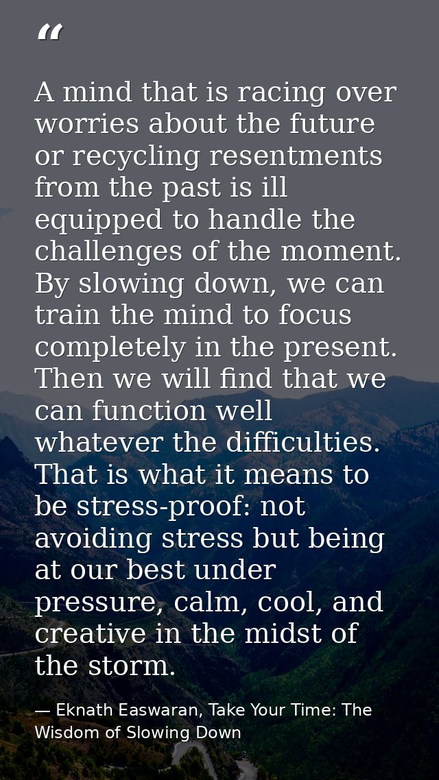 A mind that is racing over worries about the future or recycling resentments from the past is ill equipped to handle the — Eknath Easwaran, Take Your Time: The Wisdom of Slowing Down