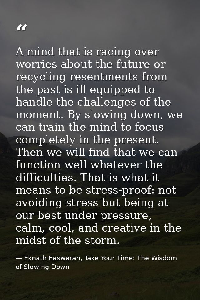 A mind that is racing over worries about the future or recycling resentments from the past is ill equipped to handle the — Eknath Easwaran, Take Your Time: The Wisdom of Slowing Down