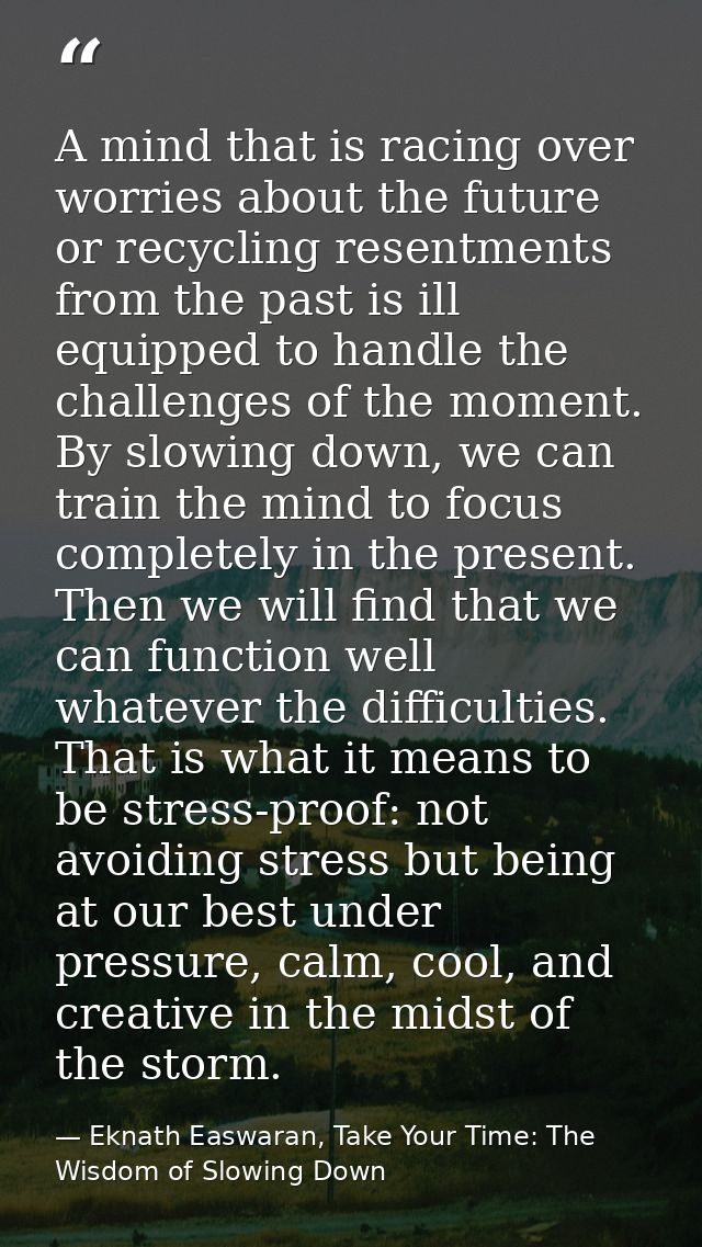 A mind that is racing over worries about the future or recycling resentments from the past is ill equipped to handle the — Eknath Easwaran, Take Your Time: The Wisdom of Slowing Down