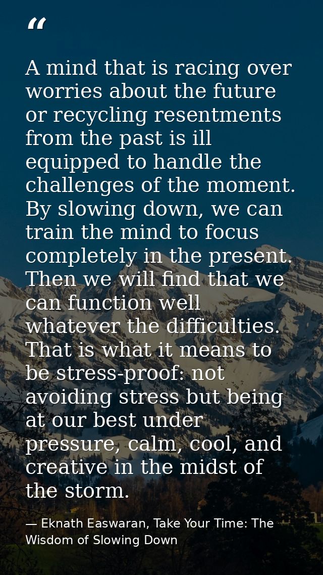 A mind that is racing over worries about the future or recycling resentments from the past is ill equipped to handle the — Eknath Easwaran, Take Your Time: The Wisdom of Slowing Down