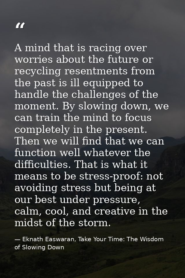 A mind that is racing over worries about the future or recycling resentments from the past is ill equipped to handle the — Eknath Easwaran, Take Your Time: The Wisdom of Slowing Down