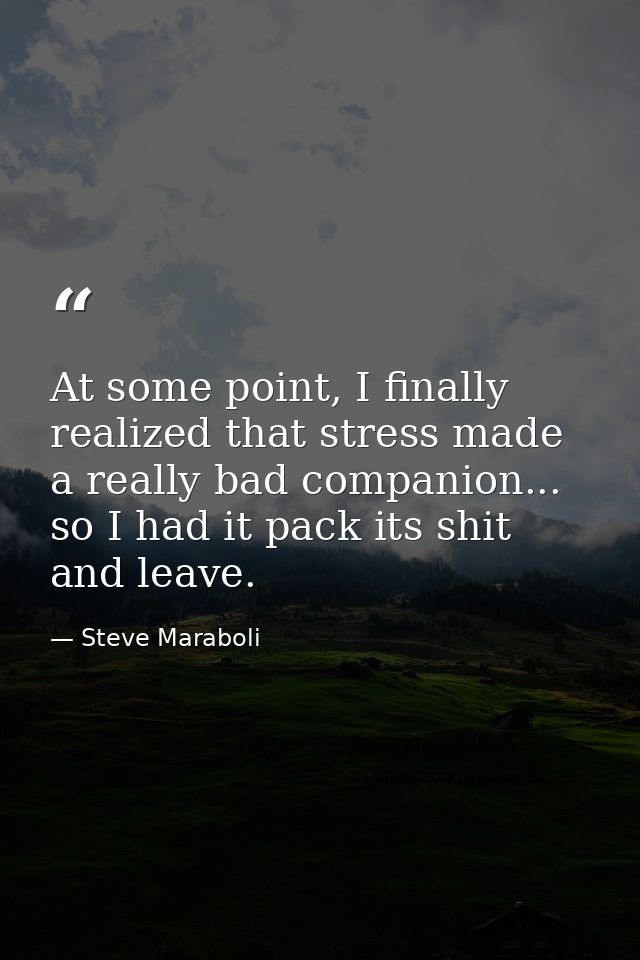 At some point, I finally realized that stress made a really bad companion... so I had it pack its shit and leave. — Steve Maraboli