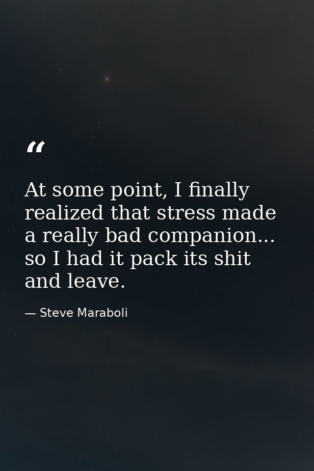At some point, I finally realized that stress made a really bad companion... so I had it pack its shit and leave. — Steve Maraboli
