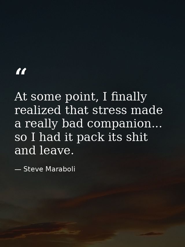 At some point, I finally realized that stress made a really bad companion... so I had it pack its shit and leave. — Steve Maraboli