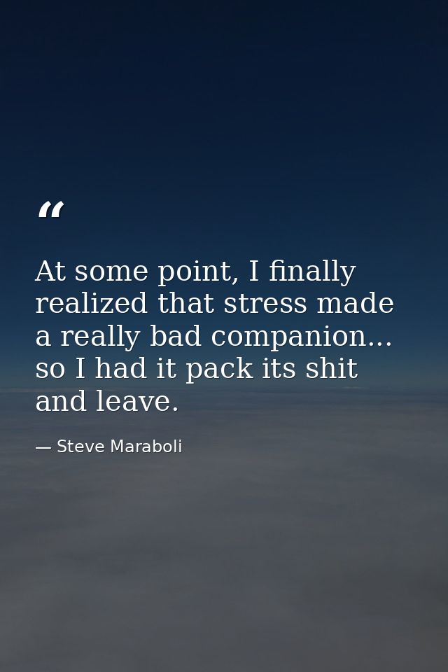 At some point, I finally realized that stress made a really bad companion... so I had it pack its shit and leave. — Steve Maraboli