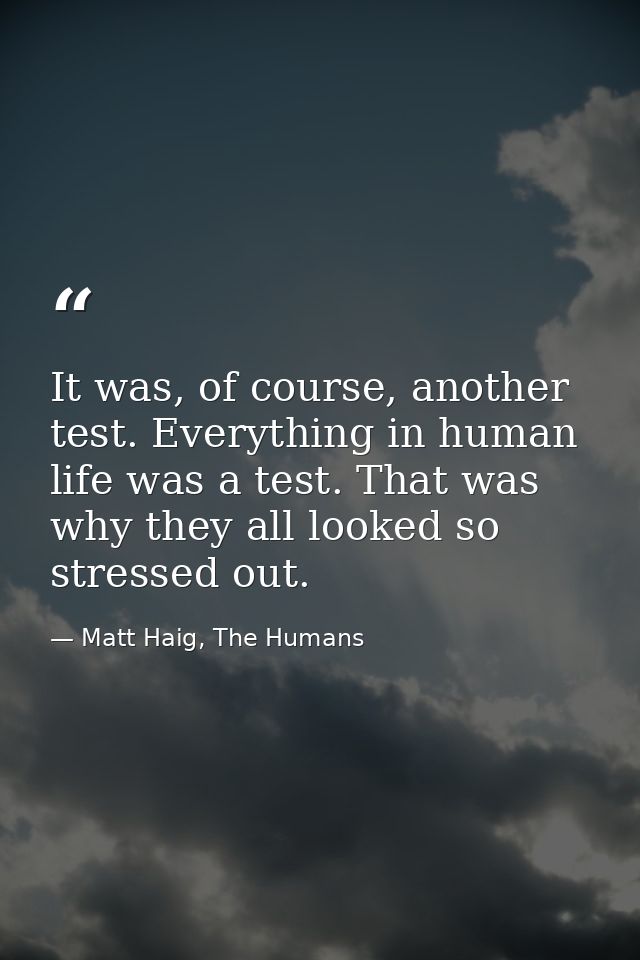 It was, of course, another test. Everything in human life was a test. That was why they all looked so stressed out. — Matt Haig, The Humans