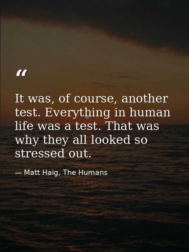 It was, of course, another test. Everything in human life was a test. That was why they all looked so stressed out. — Matt Haig, The Humans