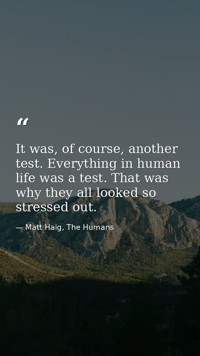 It was, of course, another test. Everything in human life was a test. That was why they all looked so stressed out. — Matt Haig, The Humans