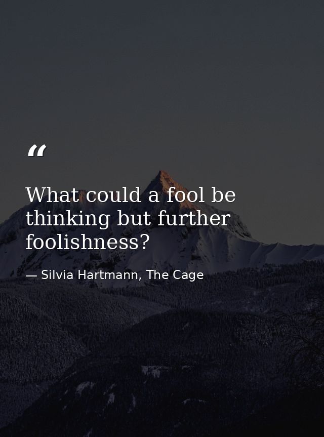What could a fool be thinking but further foolishness? — Silvia Hartmann, The Cage