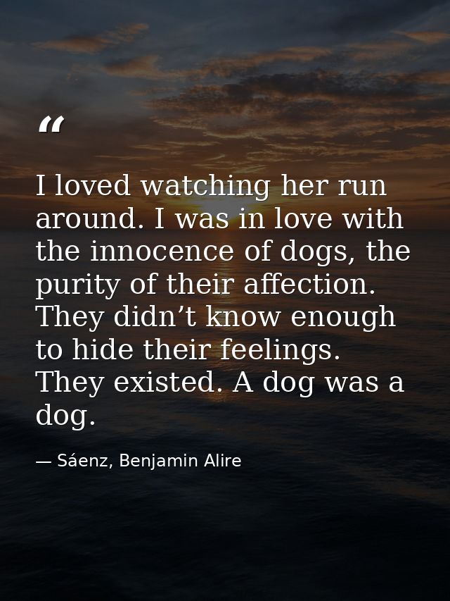I loved watching her run around. I was in love with the innocence of dogs, the purity of their affection. They didn’t kn — Sáenz, Benjamin Alire