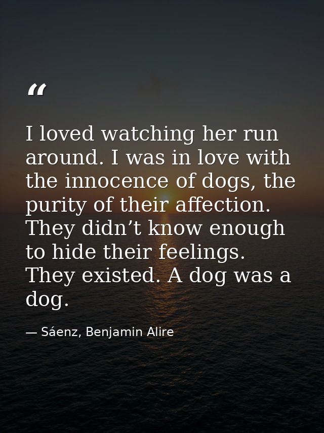 I loved watching her run around. I was in love with the innocence of dogs, the purity of their affection. They didn’t kn — Sáenz, Benjamin Alire
