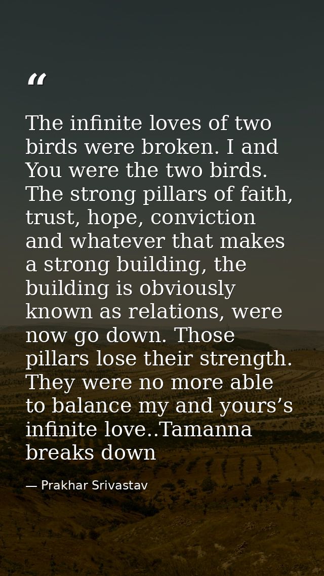 The infinite loves of two birds were broken. I and You were the two birds. The strong pillars of faith, trust, hope, con — Prakhar Srivastav