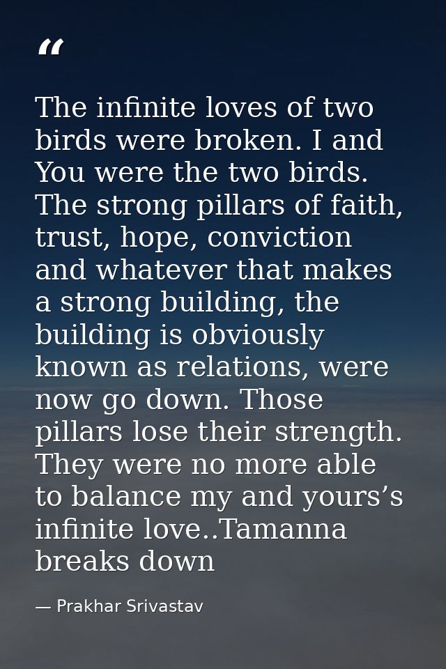 The infinite loves of two birds were broken. I and You were the two birds. The strong pillars of faith, trust, hope, con — Prakhar Srivastav