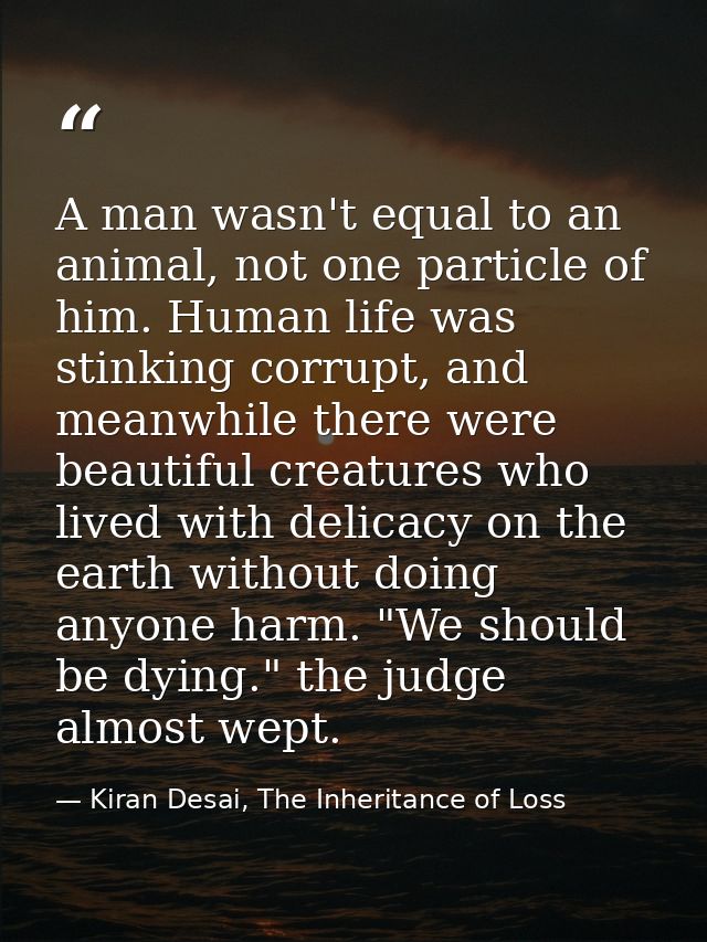 A man wasn't equal to an animal, not one particle of him. Human life was stinking corrupt, and meanwhile there were beau — Kiran Desai, The Inheritance of Loss
