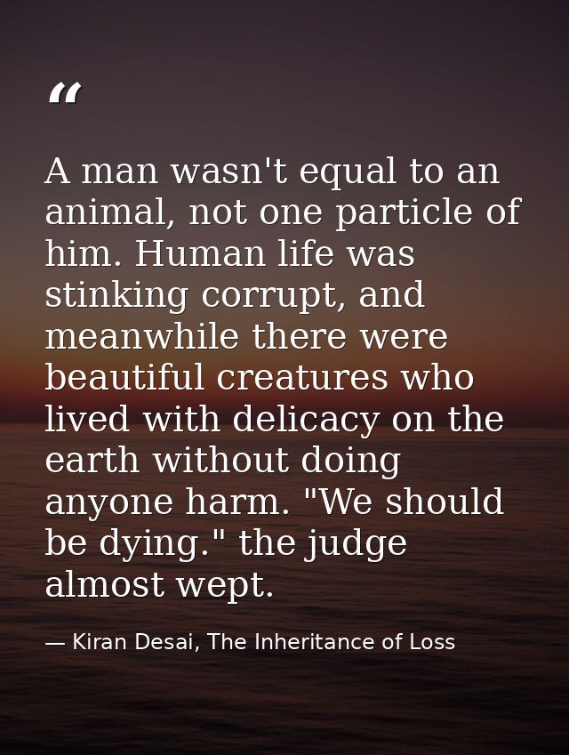 A man wasn't equal to an animal, not one particle of him. Human life was stinking corrupt, and meanwhile there were beau — Kiran Desai, The Inheritance of Loss
