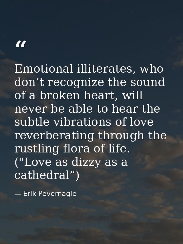 Emotional illiterates, who don’t recognize the sound of a broken heart, will never be able to hear the subtle vibrations — Erik Pevernagie