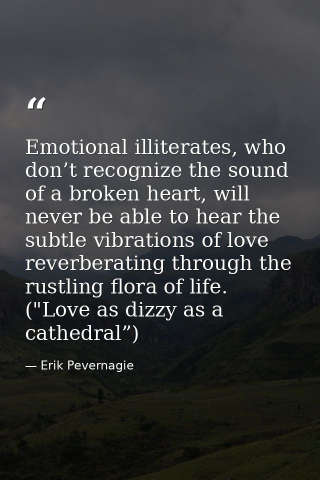 Emotional illiterates, who don’t recognize the sound of a broken heart, will never be able to hear the subtle vibrations — Erik Pevernagie