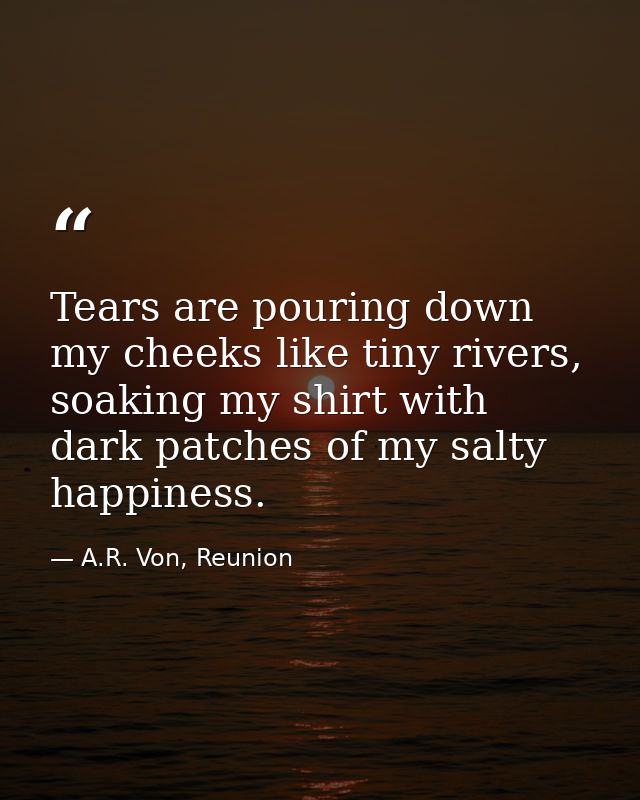 Tears are pouring down my cheeks like tiny rivers, soaking my shirt with dark patches of my salty happiness. — A.R. Von, Reunion