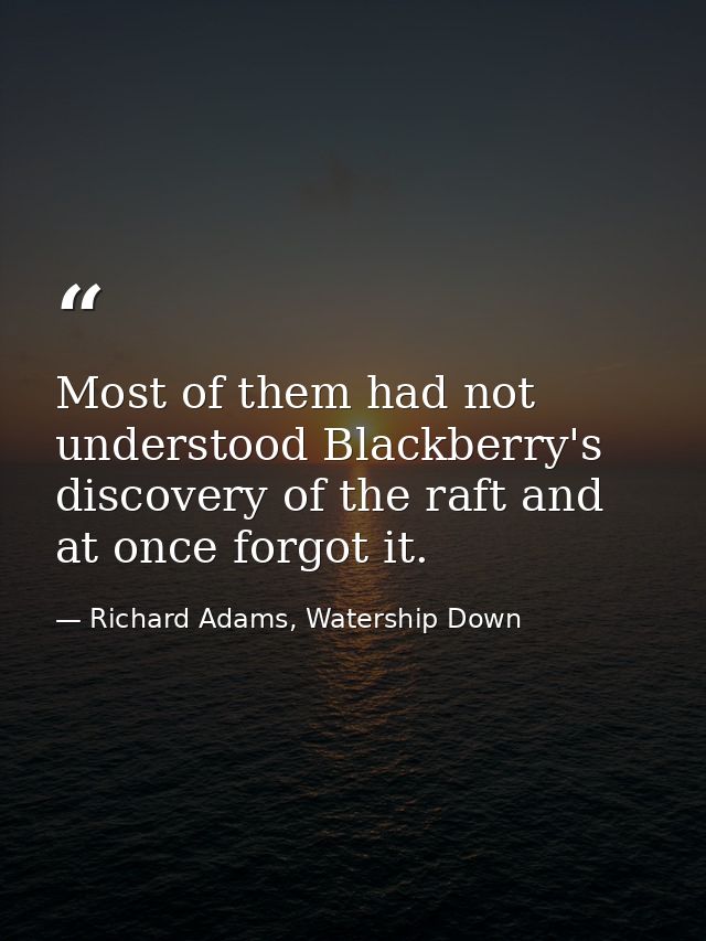 Most of them had not understood Blackberry's discovery of the raft and at once forgot it. — Richard Adams, Watership Down