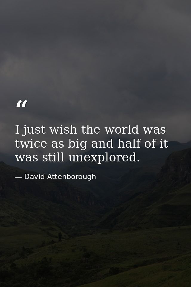 I just wish the world was twice as big and half of it was still unexplored. — David Attenborough