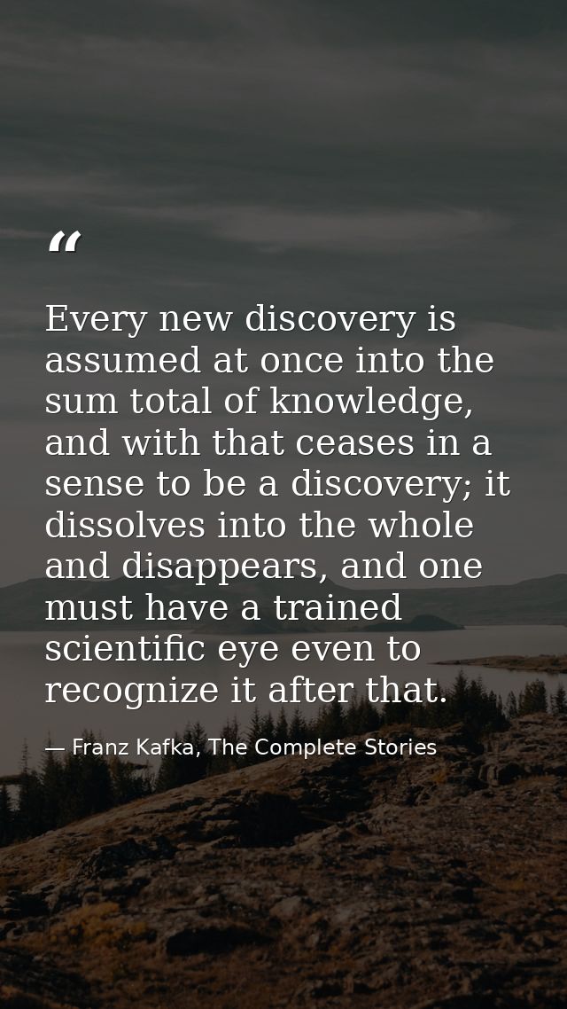Every new discovery is assumed at once into the sum total of knowledge, and with that ceases in a sense to be a discover — Franz Kafka, The Complete Stories