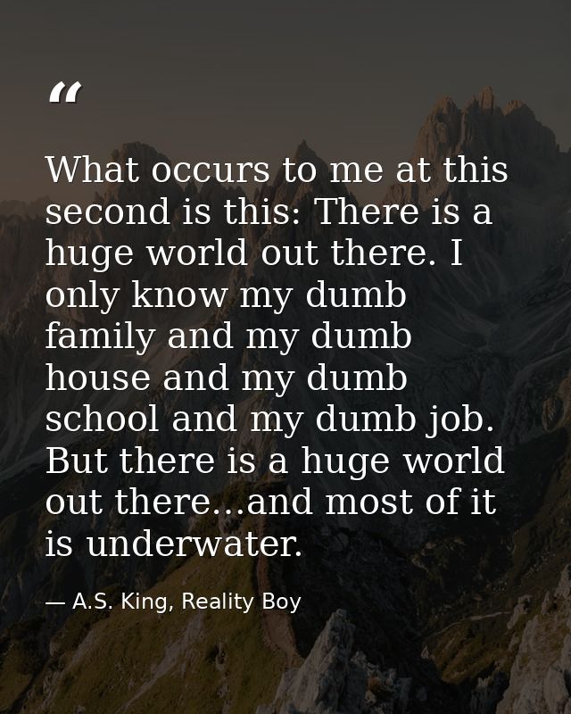 What occurs to me at this second is this: There is a huge world out there. I only know my dumb family and my dumb house  — A.S. King, Reality Boy