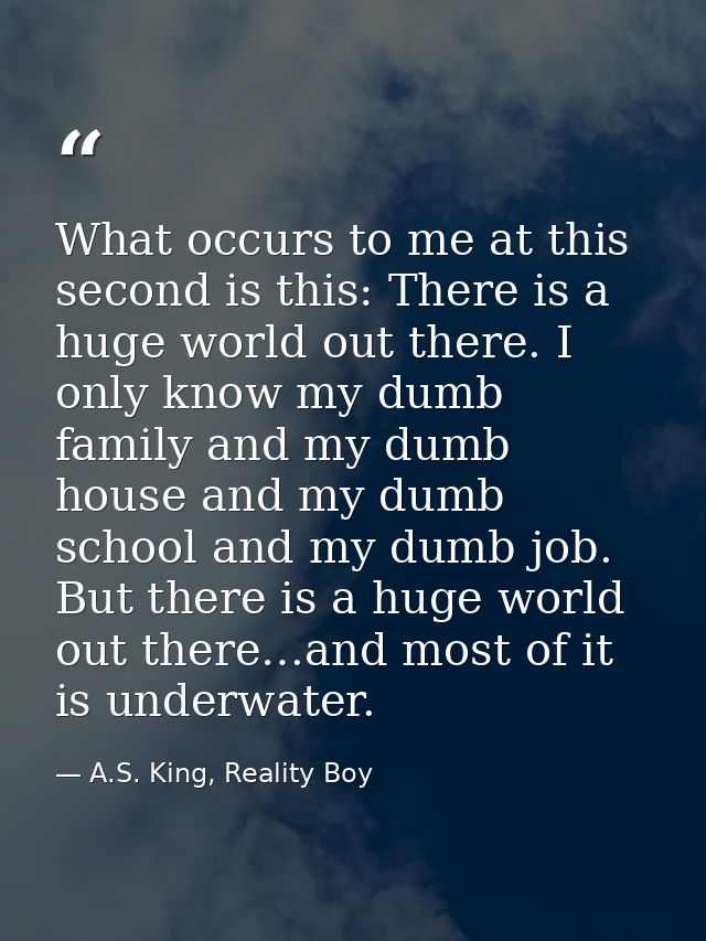 What occurs to me at this second is this: There is a huge world out there. I only know my dumb family and my dumb house  — A.S. King, Reality Boy
