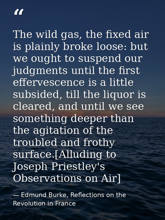 The wild gas, the fixed air is plainly broke loose: but we ought to suspend our judgments until the first effervescence  — Edmund Burke, Reflections on the Revolution in France
